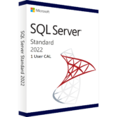 SQL Server 2022 1 User CAL.png