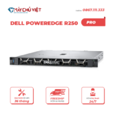 mcv may chu dell poweredge R250 Pro 1 1.png